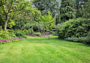 Optimiser l'expérience du jardin à Villers-sur-Auchy